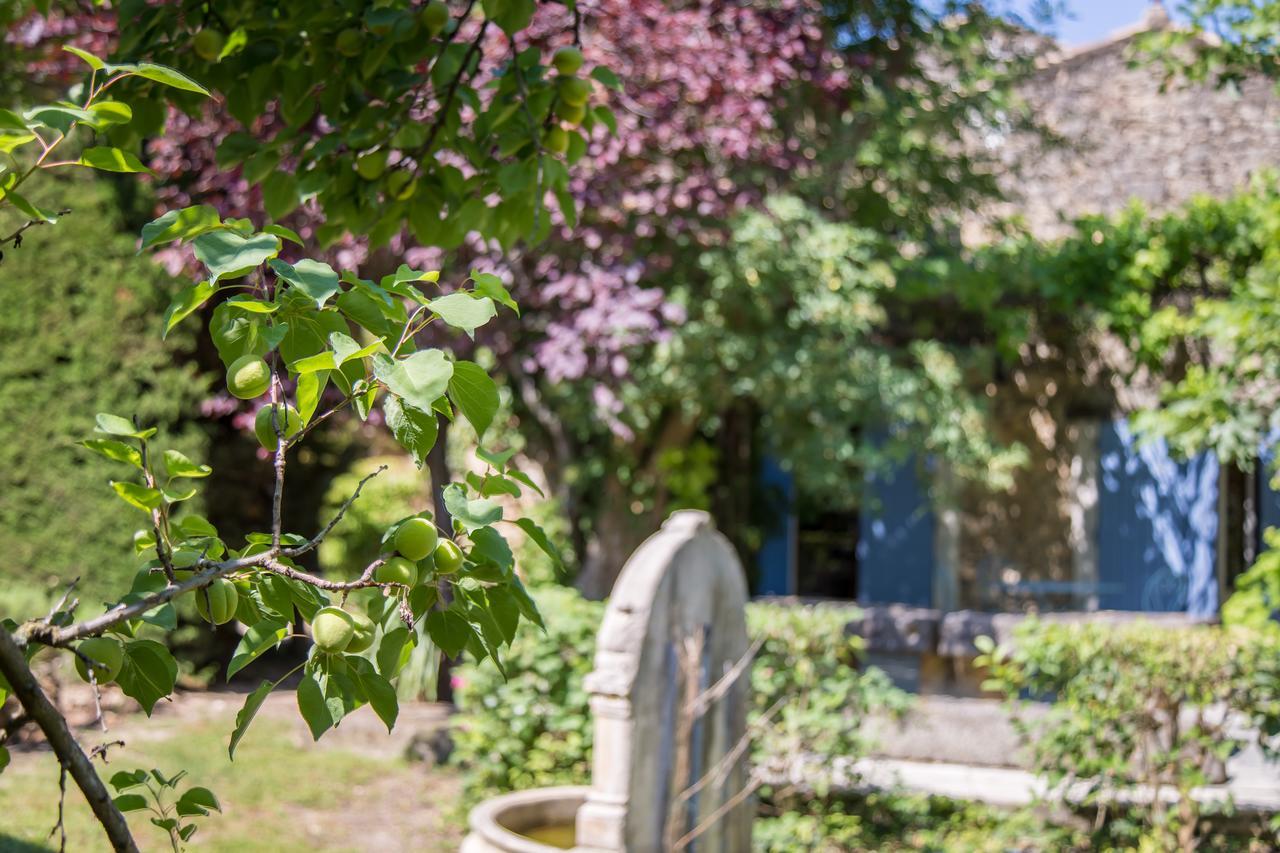 Bed & Breakfast Mas De Shogol Cavaillon